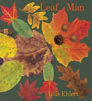 Książka planszowa Leaf Man - Leaf Man Board Book