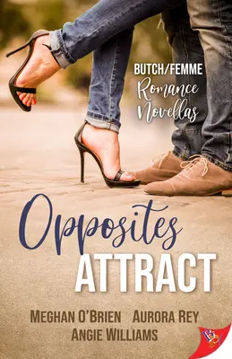 Przeciwieństwa się przyciągają: romanse damsko-męskie - Opposites Attract: Butch/Femme Romances