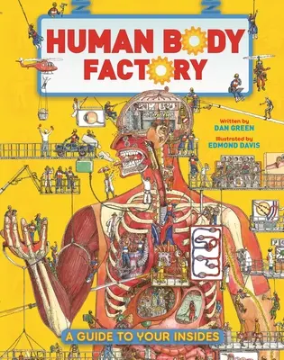 The Human Body Factory: Przewodnik po twoim wnętrzu - The Human Body Factory: A Guide to Your Insides