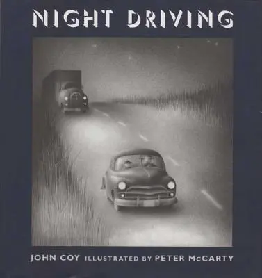 Nocna jazda - Night Driving