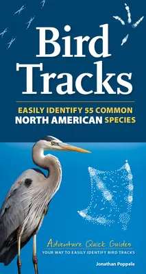 Ślady ptaków: Zawiera 55 gatunków północnoamerykańskich - Bird Tracks: Includes 55 North American Species