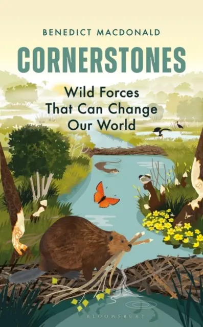 Cornerstones - Dzikie siły, które mogą zmienić nasz świat - Cornerstones - Wild Forces That Can Change Our World