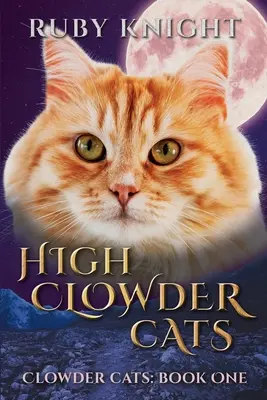 Koty z High Clowder - High Clowder Cats