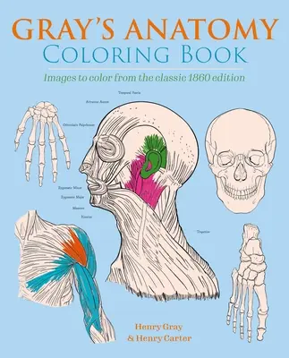 Gray's Anatomy Coloring Book: Obrazy do kolorowania z klasycznego wydania z 1860 roku - Gray's Anatomy Coloring Book: Images to Color from the Classic 1860 Edition