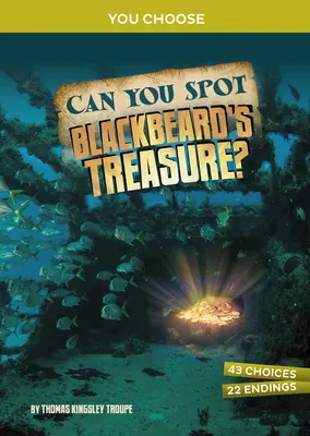 Czy potrafisz odnaleźć skarb Czarnobrodego? Interaktywna przygoda ze skarbami - Can You Spot Blackbeard's Treasure?: An Interactive Treasure Adventure