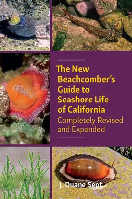 The New Beachcomber's Guide to Seashore Life of California: Całkowicie poprawiony i rozszerzony - The New Beachcomber's Guide to Seashore Life of California: Completely Revised and Expanded