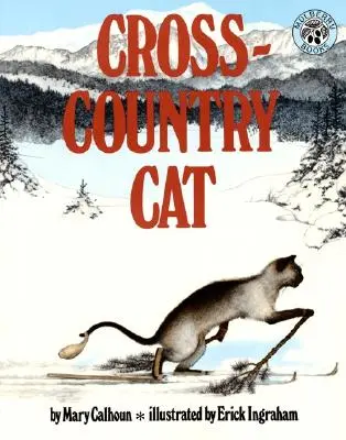 Kot biegowy - Cross-Country Cat