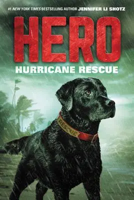 Bohater: Ratunek przed huraganem - Hero: Hurricane Rescue