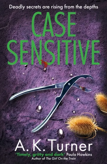 Case Sensitive - trzymająca w napięciu zagadka kryminalistyczna osadzona w Camden - Case Sensitive - A gripping forensic mystery set in Camden