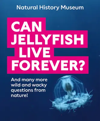 Czy meduzy mogą żyć wiecznie? I wiele innych dzikich i zwariowanych pytań z natury! - Can Jellyfish Live Forever?: And Many More Wild and Wacky Questions from Nature!