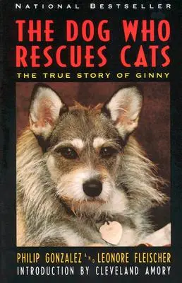 Pies, który ratuje koty: Prawdziwa historia Ginny, psa - The Dog Who Rescues Cats: True Story of Ginny, the