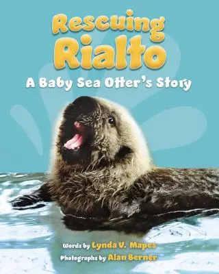 Ratując Rialto: Historia małej wydry morskiej - Rescuing Rialto: A Baby Sea Otter's Story