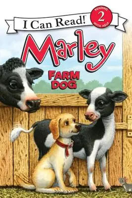 Marley: Pies gospodarski - Marley: Farm Dog