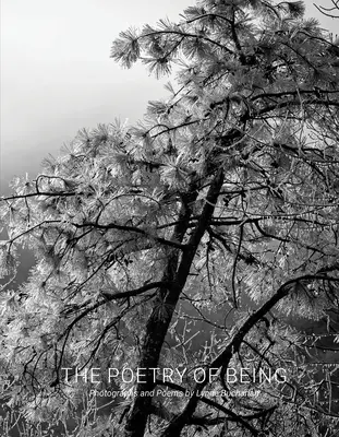 Poezja bycia: Fotografie i haiku - The Poetry of Being: Photographs and Haikus