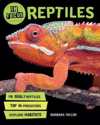 W centrum uwagi: Gady - In Focus: Reptiles