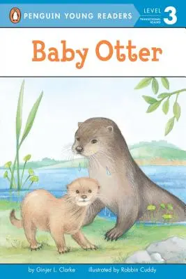 Mała wydra - Baby Otter