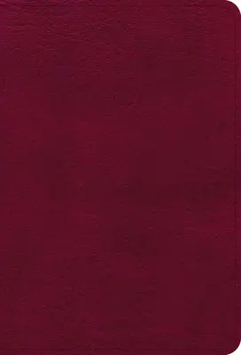 Kompaktowa Biblia NASB z dużym drukiem, bordowa skóra ekologiczna - NASB Large Print Compact Reference Bible, Burgundy Leathertouch