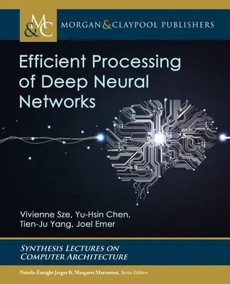 Wydajne przetwarzanie głębokich sieci neuronowych - Efficient Processing of Deep Neural Networks