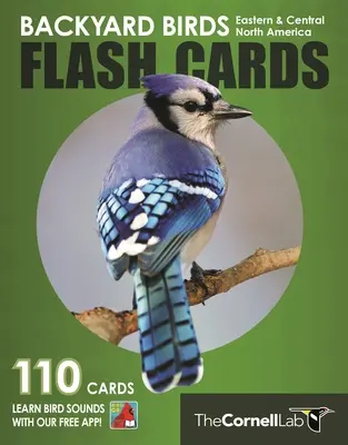 Ptaki podwórkowe - karty flash - Wschodnia i Środkowa Ameryka Północna - Backyard Birds Flash Cards - Eastern & Central North America