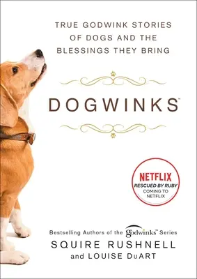 Dogwinks: Prawdziwe historie o psach i błogosławieństwach, które przynoszą - Dogwinks: True Godwink Stories of Dogs and the Blessings They Bring