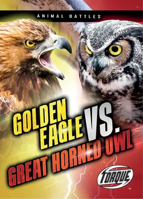 Orzeł przedni vs. Sowa raróg - Golden Eagle vs. Great Horned Owl