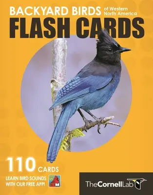 Ptaki podwórkowe - karty flash - Zachodnia Ameryka Północna - Backyard Birds Flash Cards - Western North America