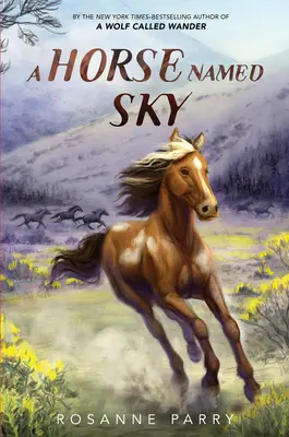 Koń o imieniu Sky - A Horse Named Sky