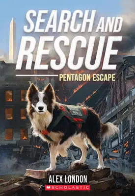 Poszukiwanie i ratowanie: Ucieczka z Pentagonu - Search and Rescue: Pentagon Escape