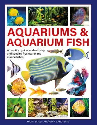 Akwaria i ryby akwariowe: Praktyczny przewodnik po identyfikacji i hodowli ryb słodkowodnych i morskich - Aquariums & Aquarium Fish: A Practical Guide to Identifying and Keeping Freshwater and Marine Fishes