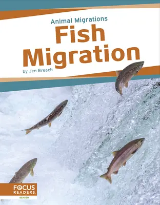 Migracja ryb - Fish Migration
