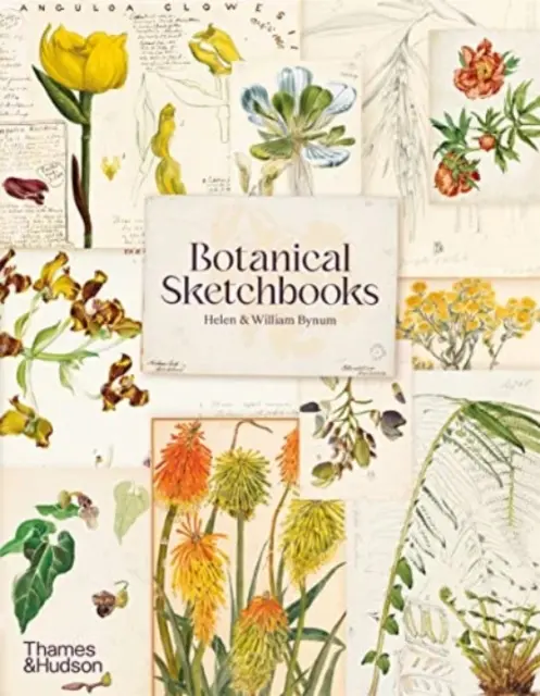 Szkicowniki botaniczne - Botanical Sketchbooks