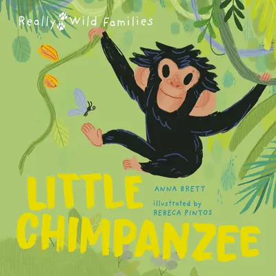 Mały szympans: dzień z życia małego szympansa - Little Chimpanzee: A Day in the Life of a Baby Chimp