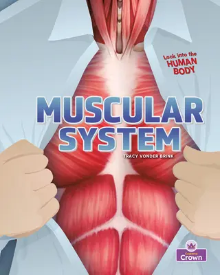 Układ mięśniowy - Muscular System