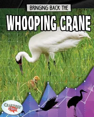 Przywracanie żurawia krzykliwego - Bringing Back the Whooping Crane