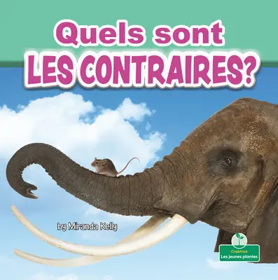 Quels Sont Les Contraires? (Jakie są przeciwieństwa?) - Quels Sont Les Contraires? (What Are Opposites?)