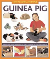 Jak opiekować się świnką morską - How to Look After Your Guinea Pig