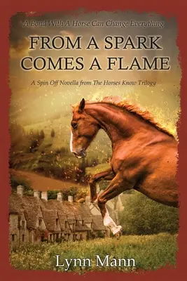 From A Spark Comes A Flame: Spin Off Novella z trylogii The Horses Know Trilogy - From A Spark Comes A Flame: A Spin Off Novella from The Horses Know Trilogy