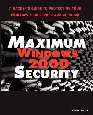 Maksymalne bezpieczeństwo systemu Windows 2000 - Maximum Windows 2000 Security