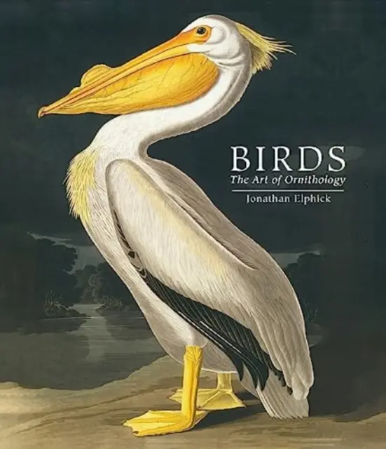 Ptaki - Sztuka ornitologii (wydanie kieszonkowe) - Birds - The Art of Ornithology (Pocket edition)