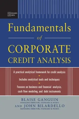 Podstawy analizy kredytów korporacyjnych według Standard & Poor's (Pb) - Standard & Poor's Fundamentals of Corporate Credit Analysis (Pb)