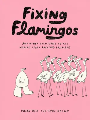 Naprawianie flamingów: I inne rozwiązania najmniej palących problemów świata - Fixing Flamingos: And Other Solutions to the World's Least Pressing Problems