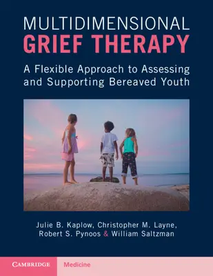 Wielowymiarowa terapia żałoby - elastyczne podejście do oceny i wspierania młodzieży w żałobie - Multidimensional Grief Therapy - A Flexible Approach to Assessing and Supporting Bereaved Youth