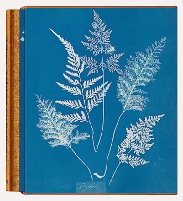 Anna Atkins. Cyjanotypy - Anna Atkins. Cyanotypes