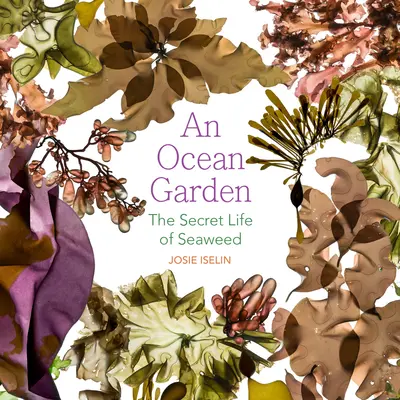 An Ocean Garden: Sekretne życie wodorostów - An Ocean Garden: The Secret Life of Seaweed