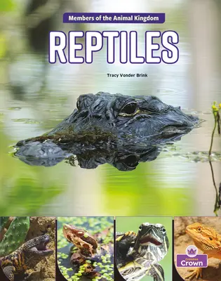 Gady - Reptiles