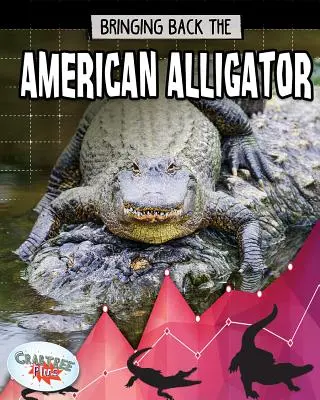 Przywracanie aligatora amerykańskiego - Bringing Back the American Alligator