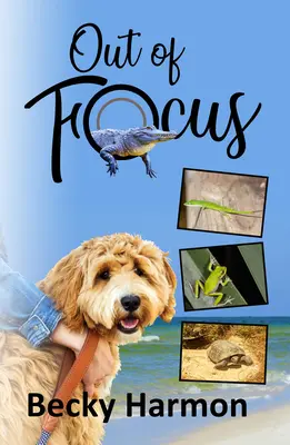 Poza centrum uwagi - Out of Focus