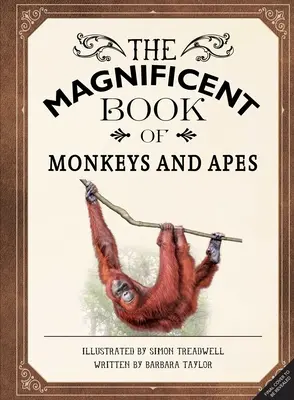 Wspaniała księga małp i małpiatek - The Magnificent Book of Monkeys and Apes