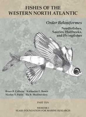 Rząd Beloniformes: Needlefishes, Sauries, Halfbeaks i Flyingfishes: Część 10 - Order Beloniformes: Needlefishes, Sauries, Halfbeaks, and Flyingfishes: Part 10