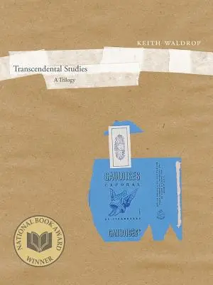 Transcendental Studies: Trylogia Tom 27 - Transcendental Studies: A Trilogy Volume 27